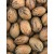 Whole Pecans- 20 kg