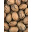 Whole Pecans - 10 kg